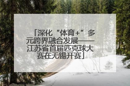 深化“体育+”多元跨界融合发展——江苏省首届匹克球大赛在无锡开赛