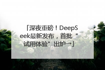 深夜重磅！DeepSeek最新发布，首批“试用体验”出炉→