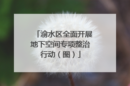 渝水区全面开展地下空间专项整治行动（图）