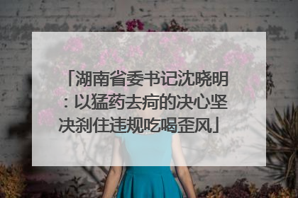 湖南省委书记沈晓明：以猛药去疴的决心坚决刹住违规吃喝歪风