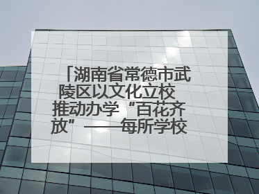 湖南省常德市武陵区以文化立校 推动办学“百花齐放”——每所学校都“精彩”