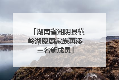 湖南省湘阴县横岭湖麋鹿家族再添三名新成员