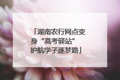 湖南农行网点变身“高考驿站” 护航学子逐梦路