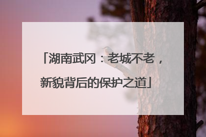 湖南武冈：老城不老，新貌背后的保护之道