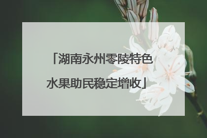 湖南永州零陵特色水果助民稳定增收