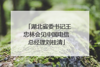 湖北省委书记王忠林会见中国电信总经理刘桂清