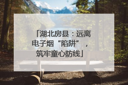 湖北房县：远离电子烟“陷阱”，筑牢童心防线