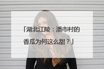 湖北江陵：潘市村的香瓜为何这么甜？