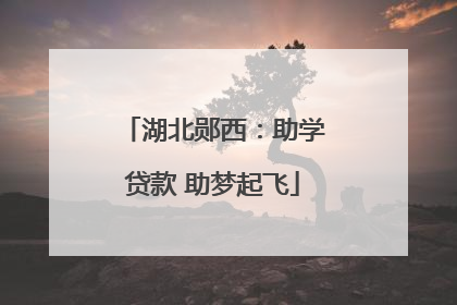 湖北郧西：助学贷款 助梦起飞