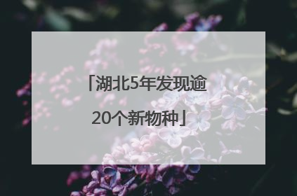 湖北5年发现逾20个新物种