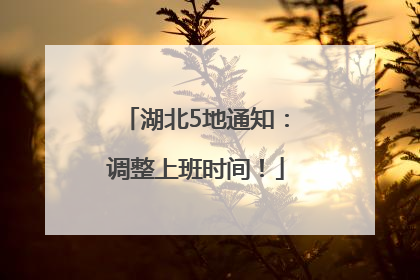 湖北5地通知：调整上班时间！
