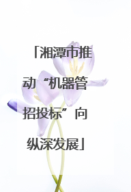 湘潭市推动“机器管招投标”向纵深发展