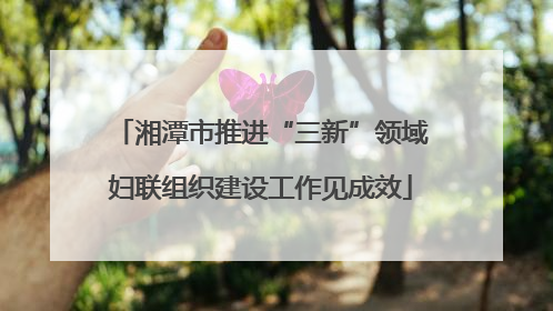 湘潭市推进“三新”领域妇联组织建设工作见成效
