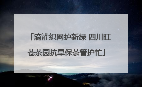 滴灌织网护新绿 四川旺苍茶园抗旱保茶管护忙
