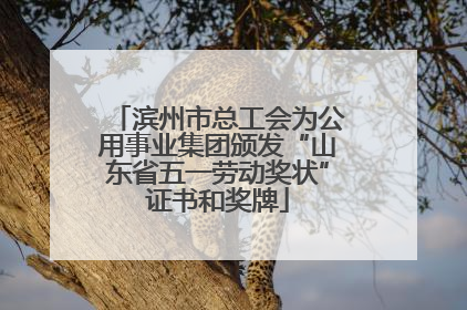 滨州市总工会为公用事业集团颁发“山东省五一劳动奖状”证书和奖牌