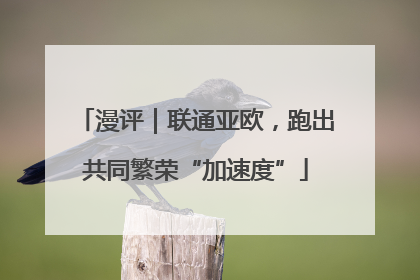 漫评｜联通亚欧，跑出共同繁荣“加速度”