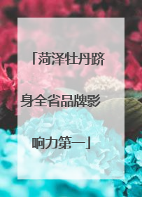 菏泽牡丹跻身全省品牌影响力第一