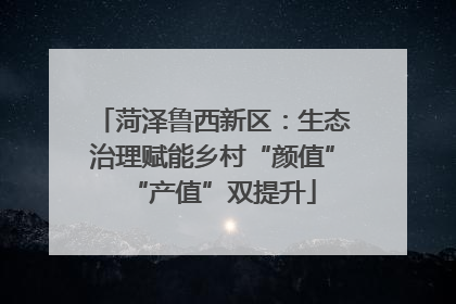 菏泽鲁西新区：生态治理赋能乡村“颜值”“产值”双提升