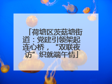 荷塘区茨菇塘街道：党建引领架起连心桥，“双联夜访”织就端午情