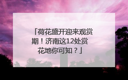 荷花盛开迎来观赏期！济南这12处赏花地你可知？
