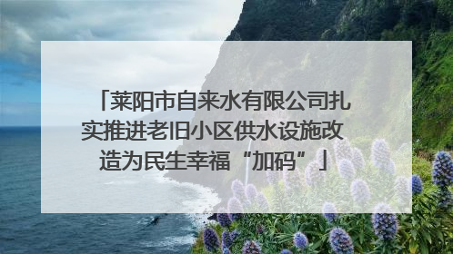 莱阳市自来水有限公司扎实推进老旧小区供水设施改造为民生幸福“加码”