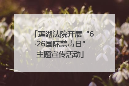 莲湖法院开展“6·26国际禁毒日”主题宣传活动