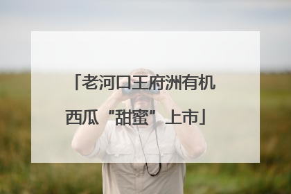 老河口王府洲有机西瓜“甜蜜”上市