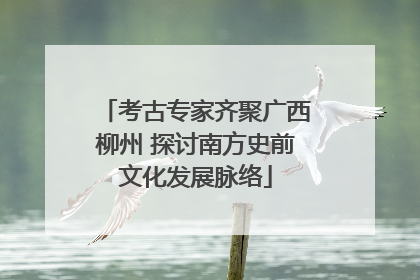 考古专家齐聚广西柳州 探讨南方史前文化发展脉络