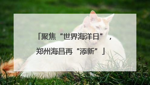 聚焦“世界海洋日”，郑州海昌再“添新”