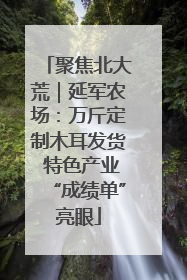 聚焦北大荒｜延军农场：万斤定制木耳发货 特色产业“成绩单”亮眼