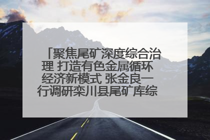 聚焦尾矿深度综合治理 打造有色金属循环经济新模式 张金良一行调研栾川县尾矿库综合治理工作