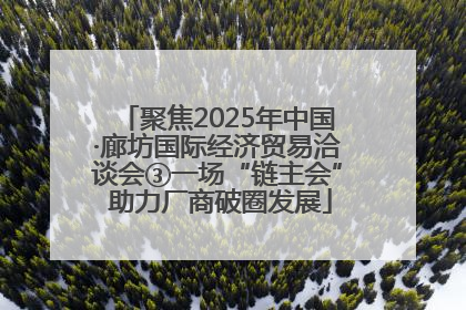聚焦2025年中国·廊坊国际经济贸易洽谈会③一场“链主会” 助力厂商破圈发展