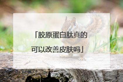胶原蛋白肽真的可以改善皮肤吗