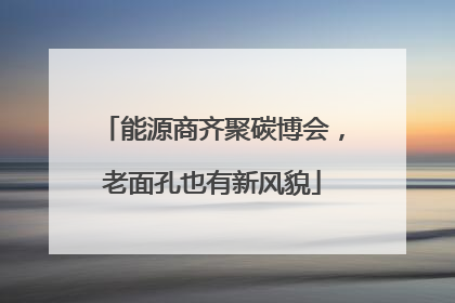 能源商齐聚碳博会，老面孔也有新风貌
