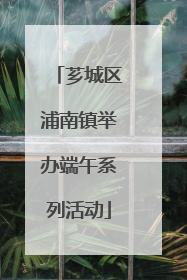 芗城区浦南镇举办端午系列活动