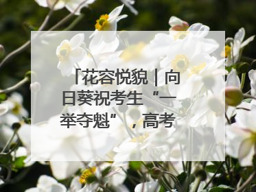 花容悦貌｜向日葵祝考生“一举夺魁”，高考带动鲜花热潮