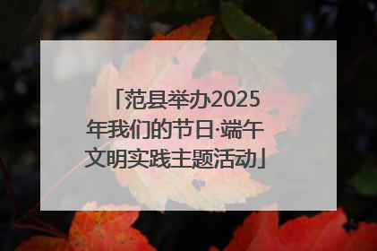 范县举办2025年我们的节日·端午文明实践主题活动