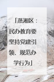 蒸湘区：民办教育要坚持党建引领、规范办学行为