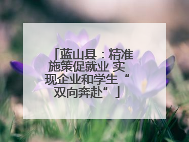 蓝山县：精准施策促就业 实现企业和学生“双向奔赴”