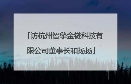 访杭州智擎金链科技有限公司董事长和扬扬