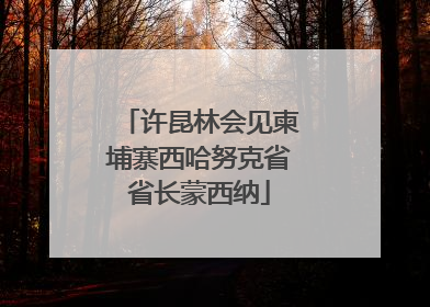 许昆林会见柬埔寨西哈努克省省长蒙西纳