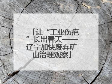 让“工业伤疤”长出春天——辽宁加快废弃矿山治理观察