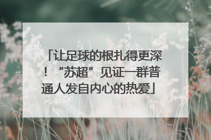 让足球的根扎得更深！“苏超”见证一群普通人发自内心的热爱