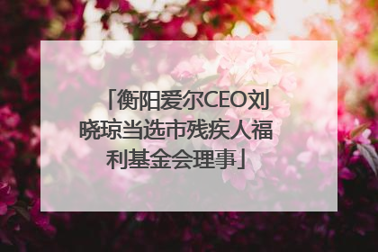 衡阳爱尔CEO刘晓琼当选市残疾人福利基金会理事