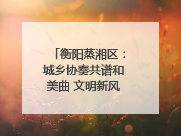 衡阳蒸湘区：城乡协奏共谱和美曲 文明新风劲拂蒸湘地