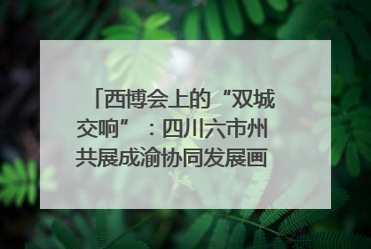 西博会上的“双城交响”：四川六市州共展成渝协同发展画卷｜西博视界