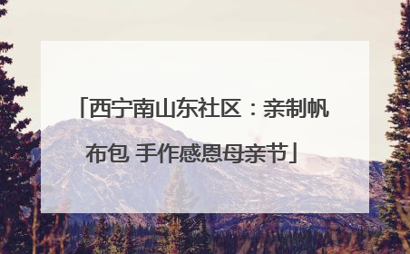 西宁南山东社区：亲制帆布包 手作感恩母亲节