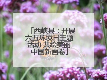 西峡县：开展六五环境日主题活动 共绘美丽中国新画卷
