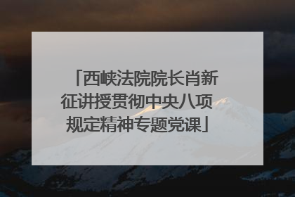 西峡法院院长肖新征讲授贯彻中央八项规定精神专题党课