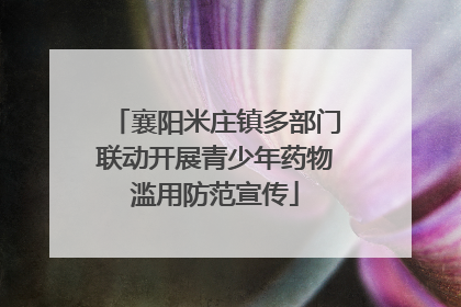 襄阳米庄镇多部门联动开展青少年药物滥用防范宣传